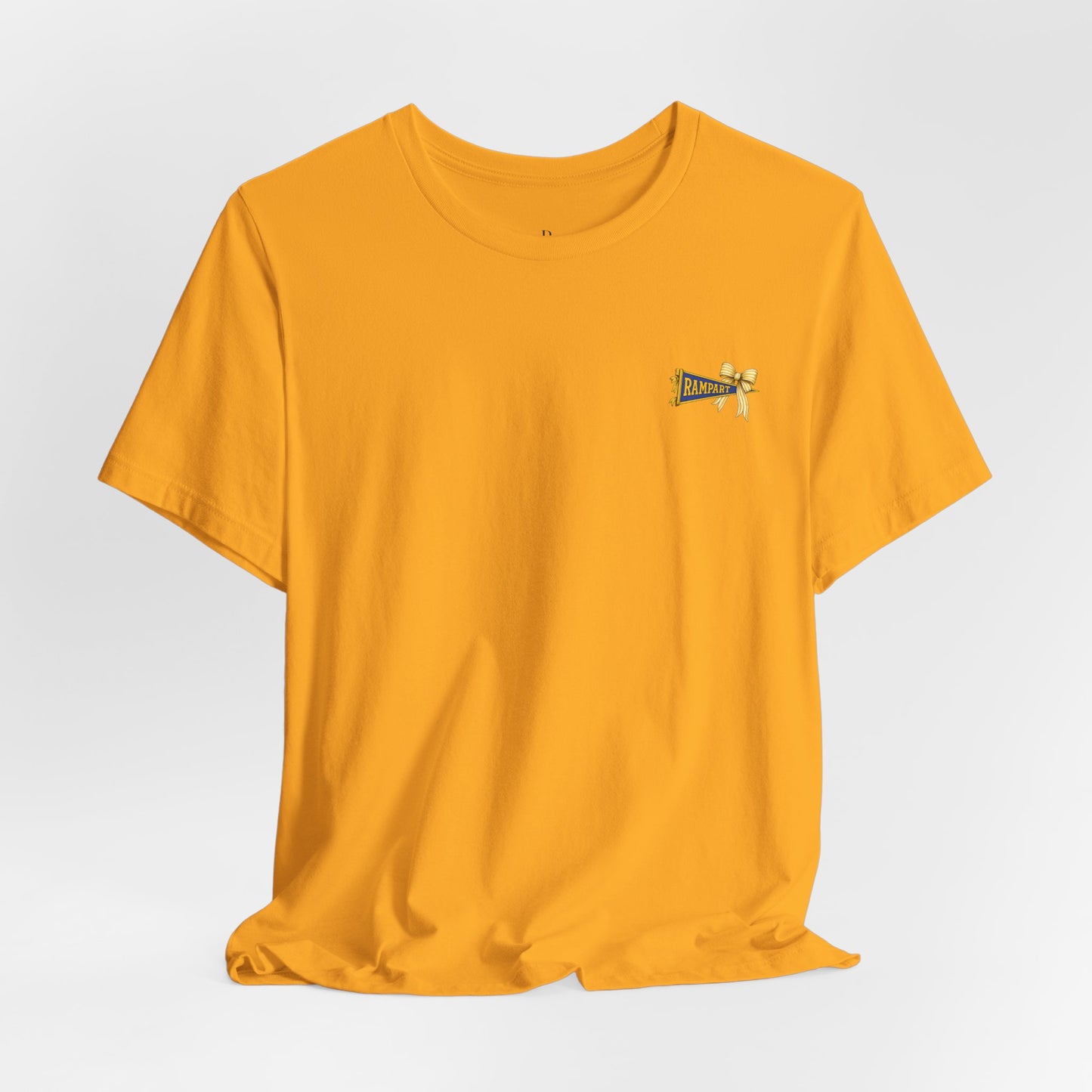 Cheerleaders & Football Team T-Shirt — “I’m With the Cheerleaders and the Football Team” Fan Tee