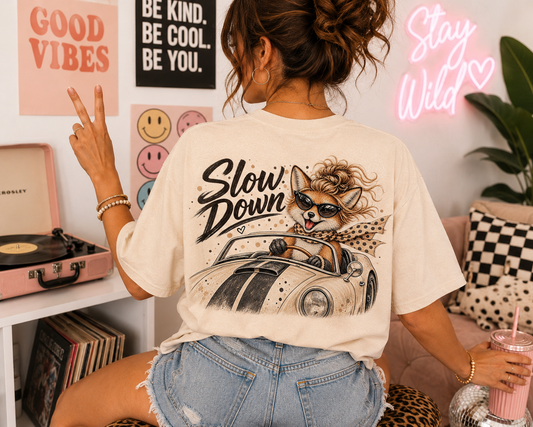 Slow Down Racer Cat Tee — "Permission To…" Retro Driving Graphic T-Shirt